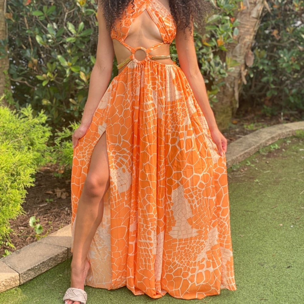 Fashionnova maxi dress